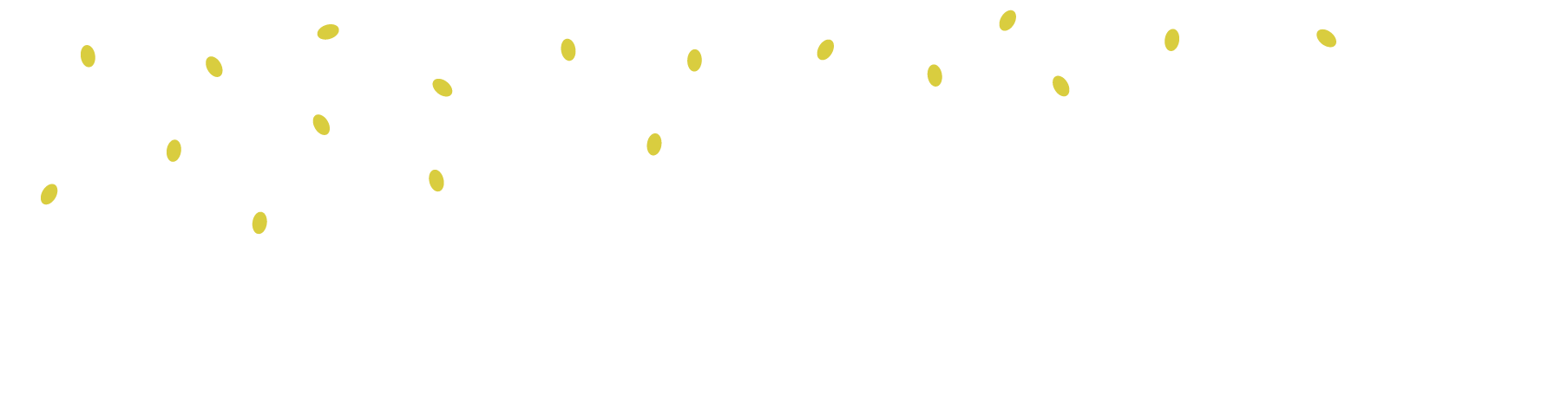 Luces Navidad Apagadas